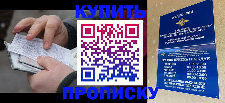 временная регистрация недорого в Камчатской области
